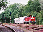 294 391 auf der Angertalbahn