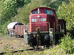 294 397 auf der Angertalbahn