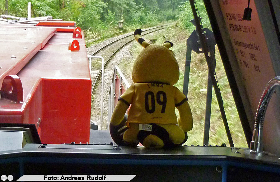 "Emma" und 265 016 auf der Angertalbahn